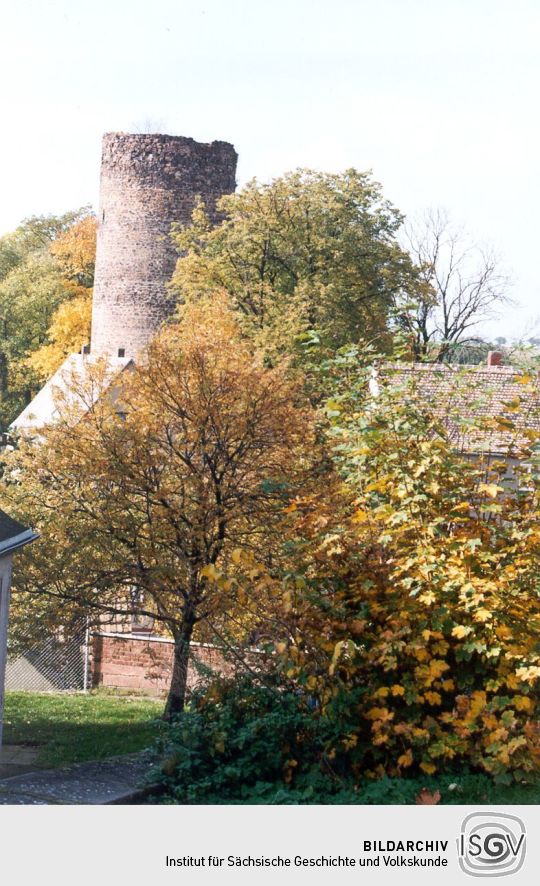 Blick zur Kohrener Burgruine