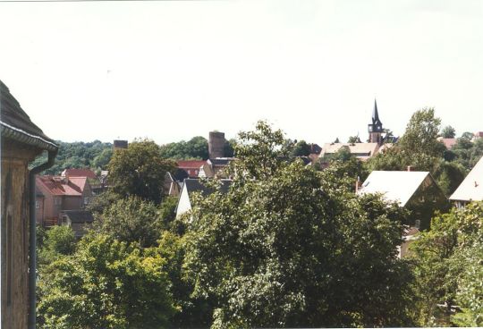 Blick auf die Burgruine in Kohren-Sahlis