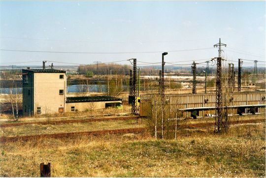 Ehemaliger Tagebau bei Regis-Breitingen