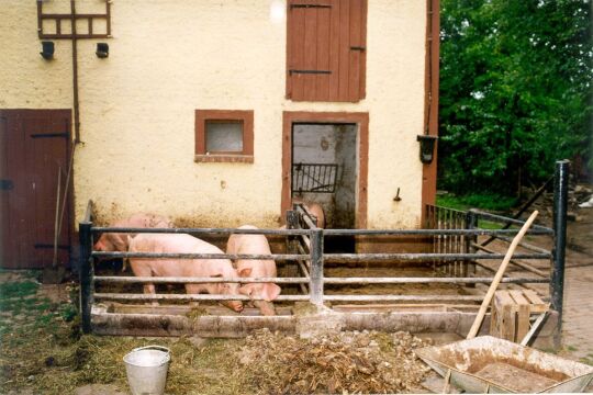 Öko-Bauernhof in Groß-Storkwitz