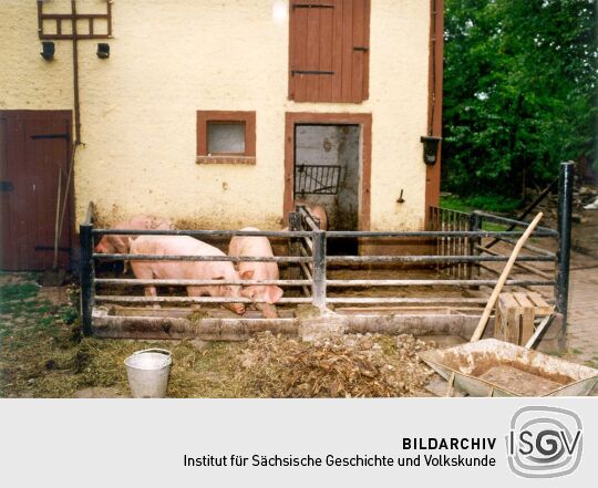 Öko-Bauernhof in Groß-Storkwitz