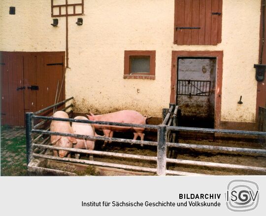 Öko-Bauernhof in Groß-Storkwitz