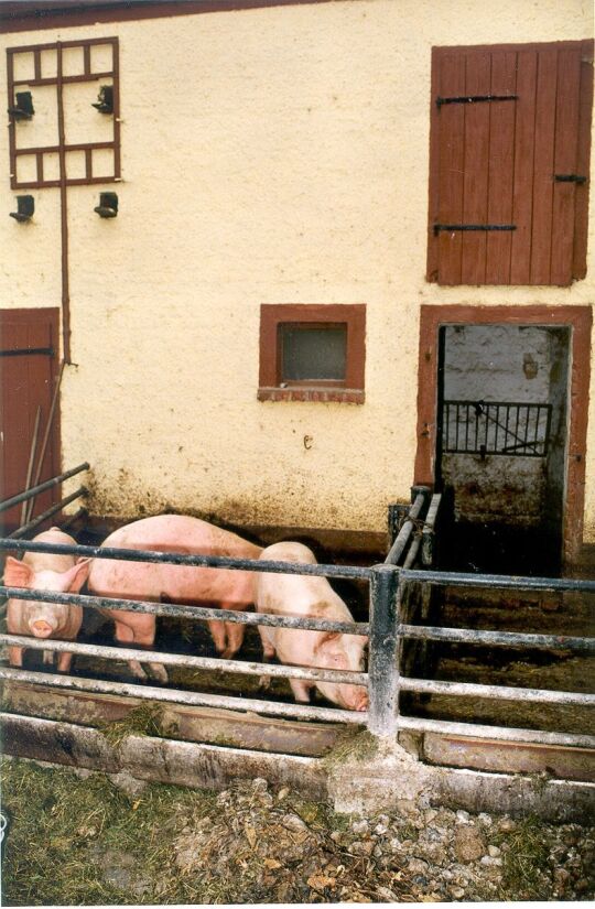 Öko-Bauernhof in Groß-Storkwitz