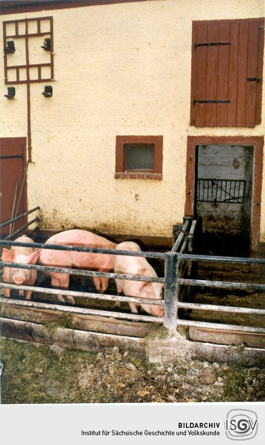 Öko-Bauernhof in Groß-Storkwitz