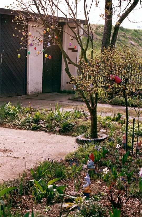 Osterbaum in Bonnewitz