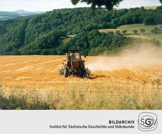 Landwirtschaft bei Maxen