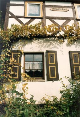 Bild: Fassade eines Wohnhauses in Bad Schandau