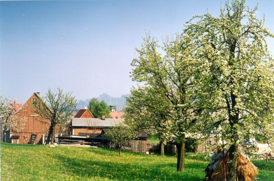 Obstgarten mit Wirtschaftsgebäude in Schöna