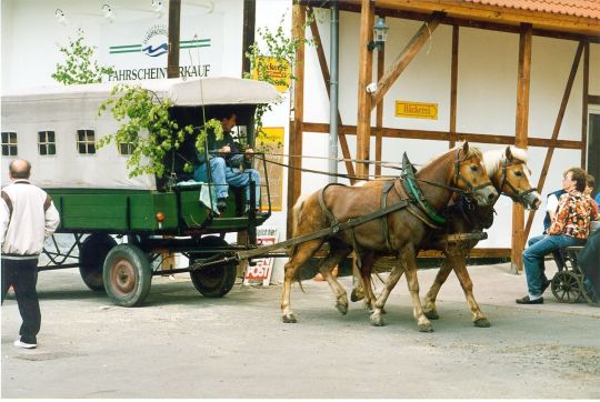 Kremser in Rathen