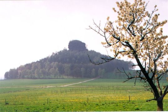 Blick zum Zirkelstein bei Schöna