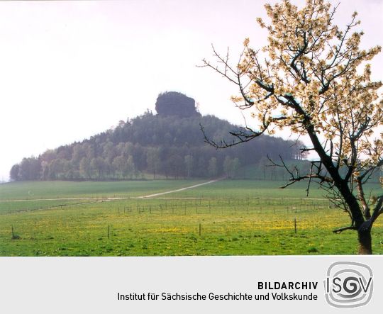 Blick zum Zirkelstein bei Schöna