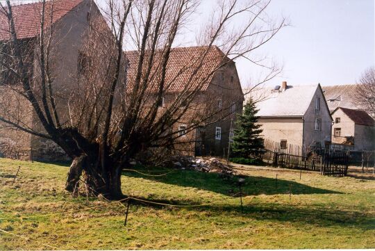 Weiden vor einem Bauernhof in Göppersdorf