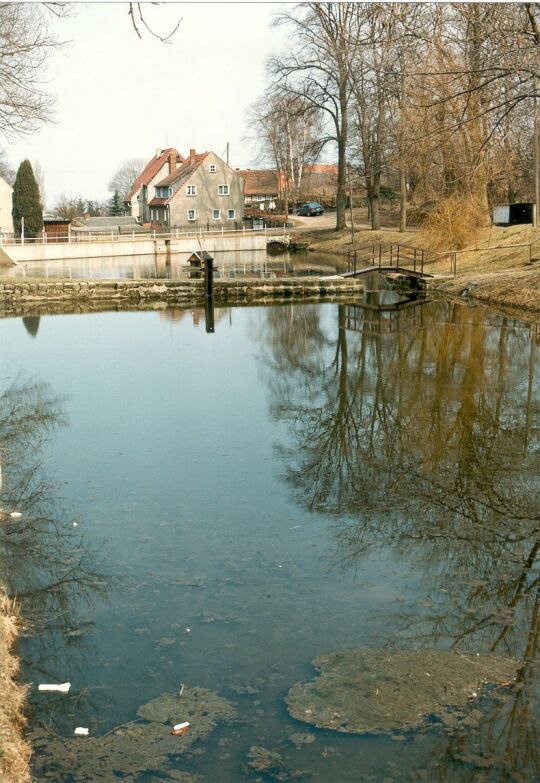 Dorfteiche in Schullwitz