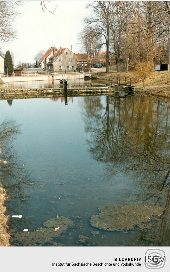 Dorfteiche in Schullwitz