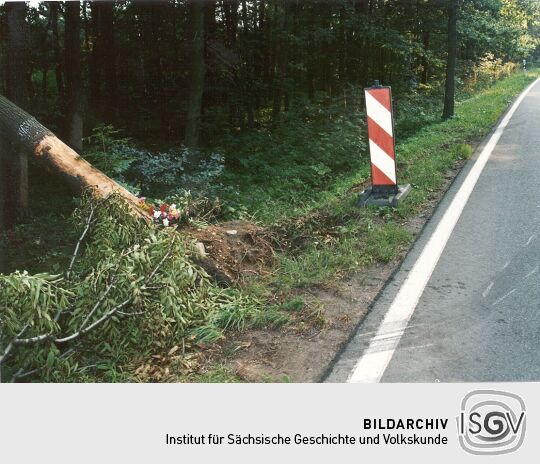 Blumen an der Straße Langebrück-Klotzsche
