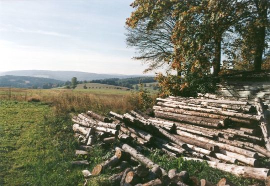 Holzplatz in Landwüst