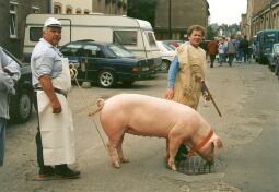 Bild: Schlächter beim Festumzug zum Tag der Sachsen in Rochlitz