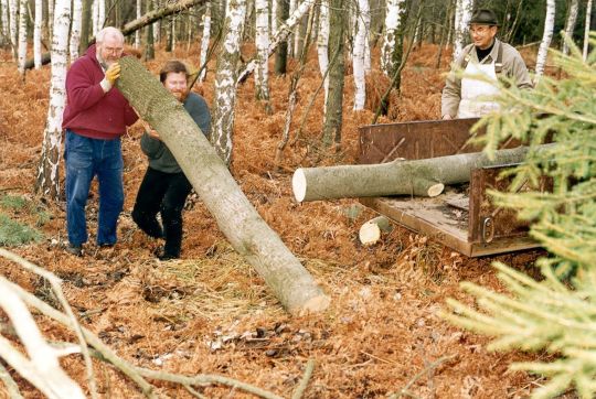 Abholung von Holz für Spankörbe der Korbmacherei Peters in Cosel-Zeisholz