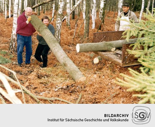 Abholung von Holz für Spankörbe der Korbmacherei Peters in Cosel-Zeisholz