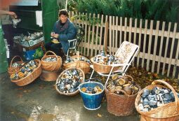 Bild: Töpfermarkt in Neukirch