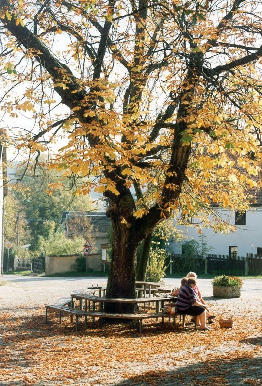 Sitzecke an der Schwander Dorfstrasse