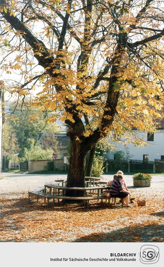 Sitzecke an der Schwander Dorfstrasse