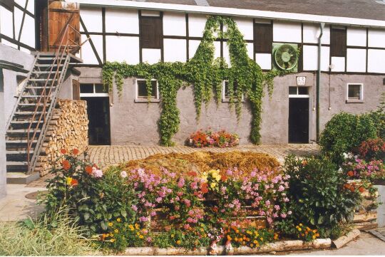 Bauernhof in Steinsdorf