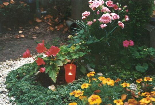 Friedhof in Crimmitschau