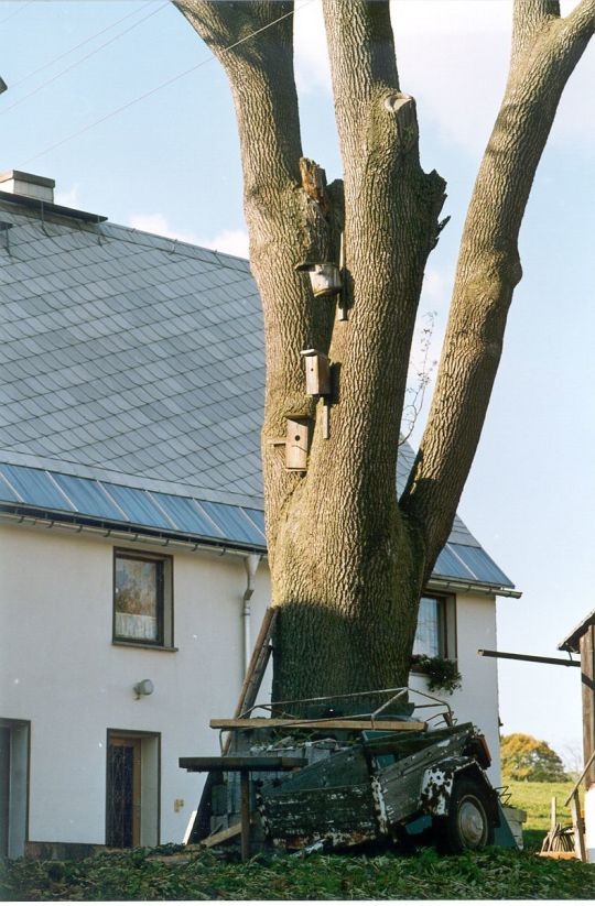 Wohnhaus in Cämmerswalde