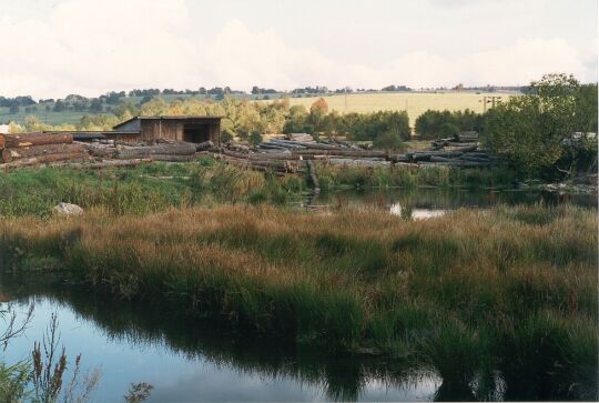Holzplatz eines Sägewerkes in Deutscheinsiedel