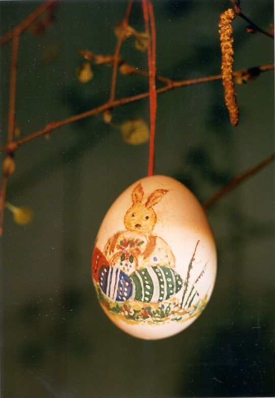 Ostereier an einer Birke in Döbschütz