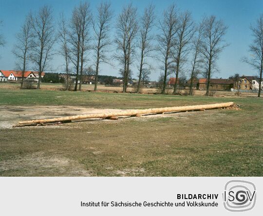 Der Maibaum in Schleife
