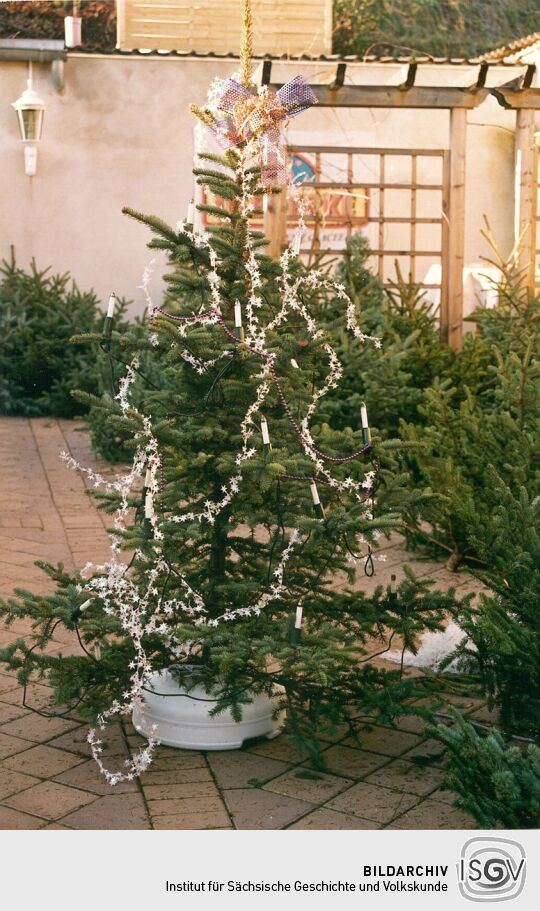 Weihnachtsbaumverkaufsstelle in Bad Muskau