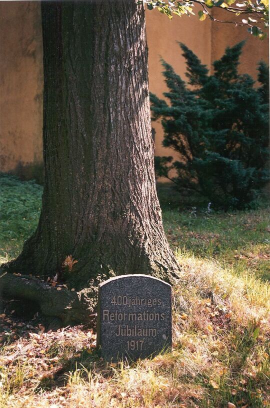 Reformationslinde in Ebersbach