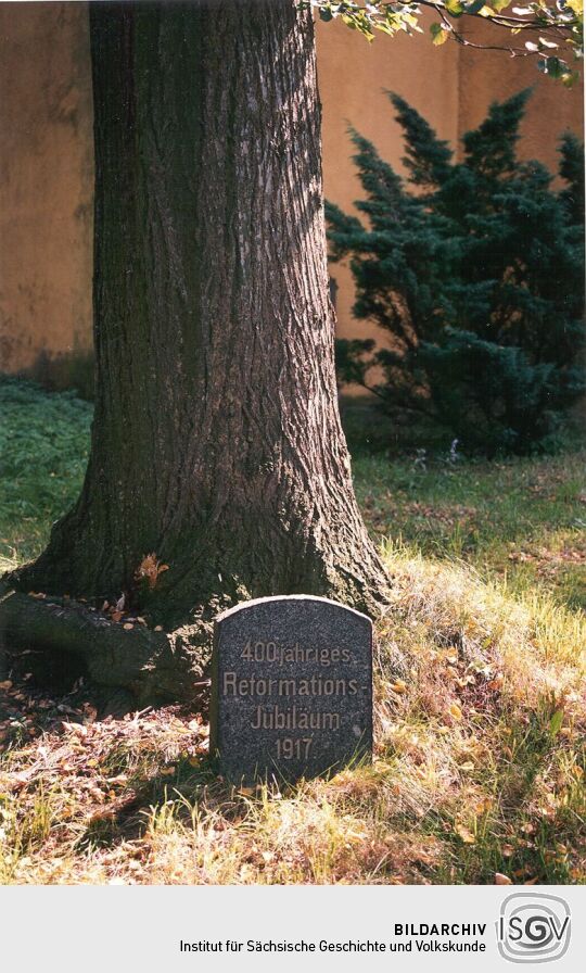 Reformationslinde in Ebersbach