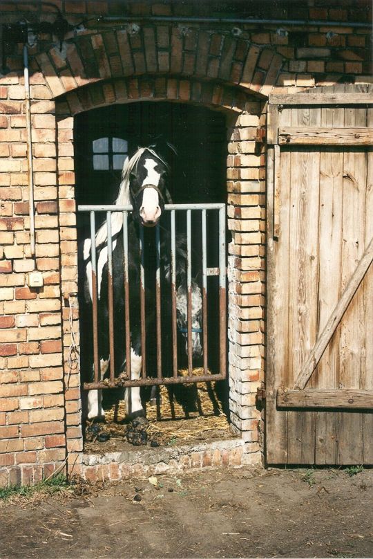 Pferdestall in Mühlrose