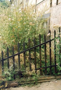 Bild: Alter Gartenzaun aus Eisen in Weesenstein