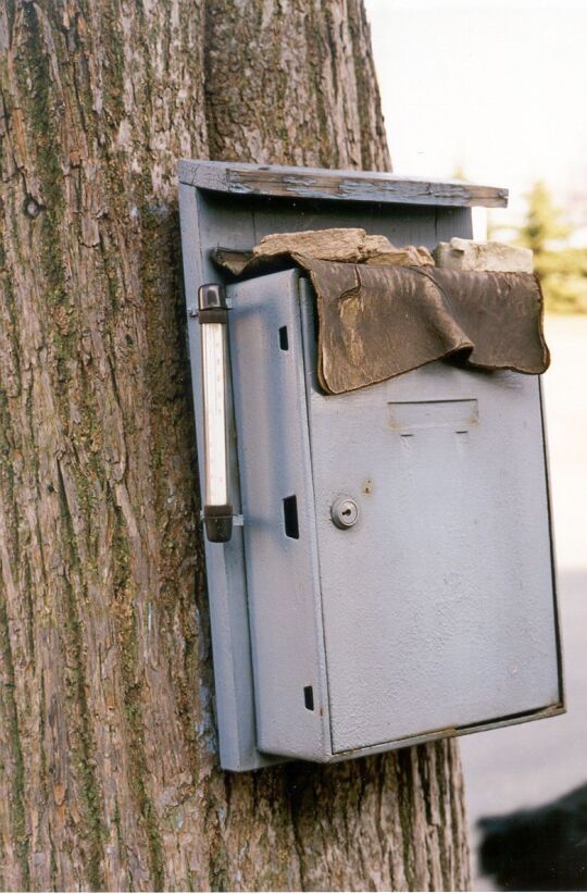 Breitenau Briefkasten am Baum