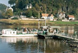 Bild: Elbfähre in Rathen