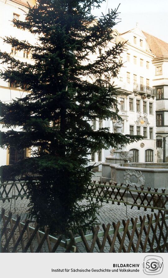 Weihnachtsbaum am Görlitzer Rathaus