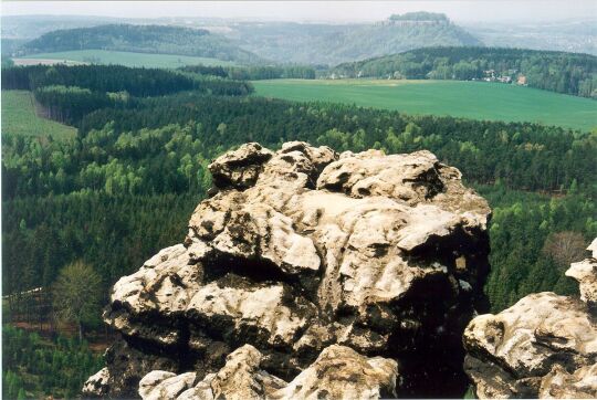 Blick zum Königstein vom Gohrisch