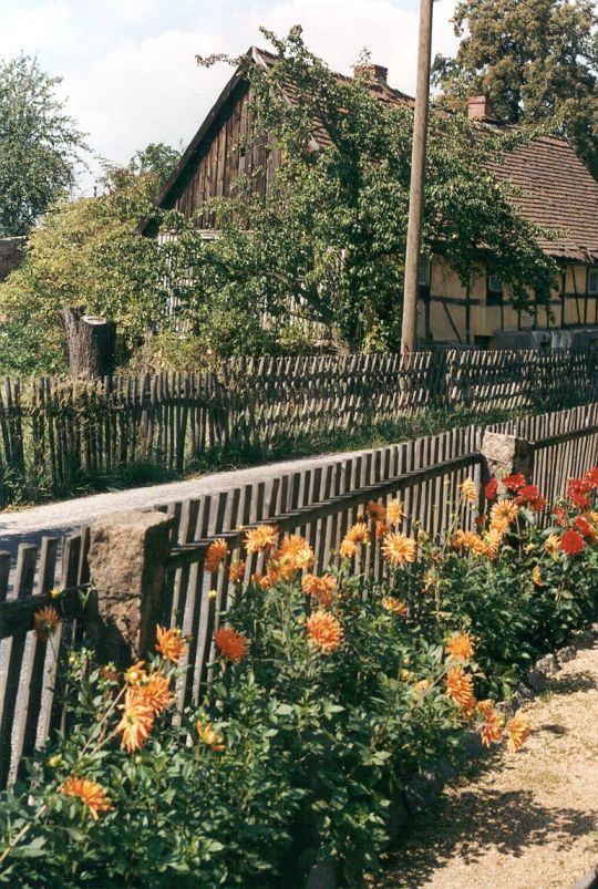 Garten mit Gartenzaun in Nieder-Seifersdorf