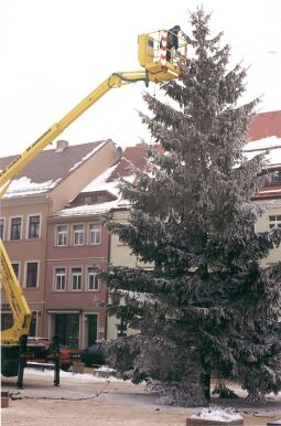 Bild: Aufstellen des Weihnachtsbaumes auf dem Marktplatz in Kamenz