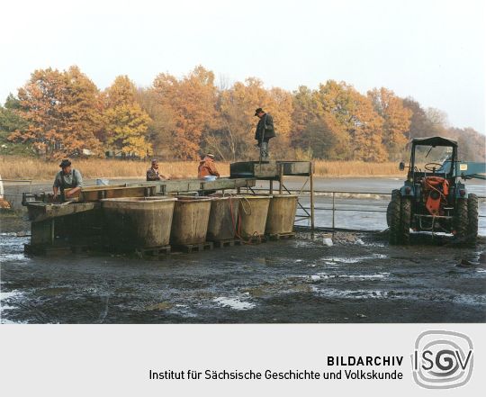 Fischteich in Deutschbaselitz