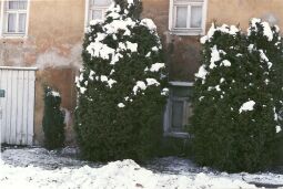 Bild: Wohnhaus in Elstra