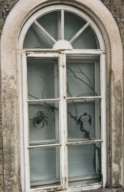 Bild: Fenster eines Hauses in Königsbrück