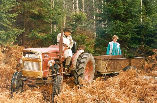 Traktor zum Abtransport von Holz bei Cosel-Zeisholz