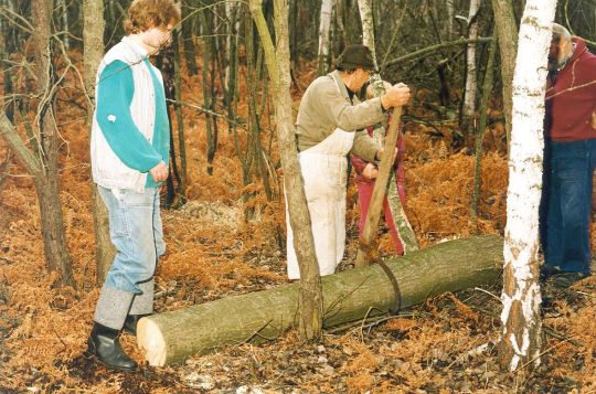 Holz aus Cosel-Zeisholz für den Korbmacher Peters