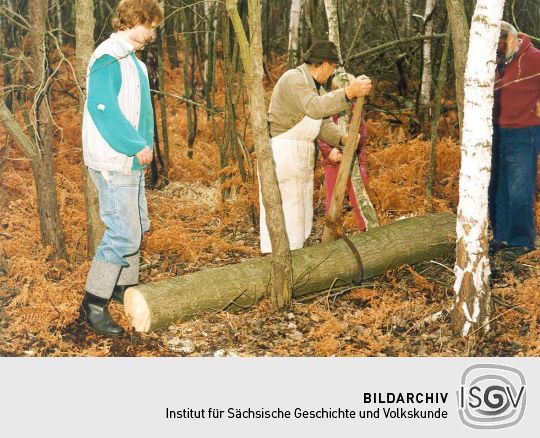 Holz aus Cosel-Zeisholz für den Korbmacher Peters