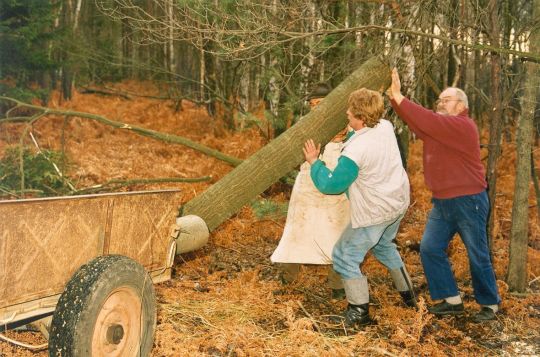 Holz aus Cosel-Zeisholz für den Korbmacher Peters